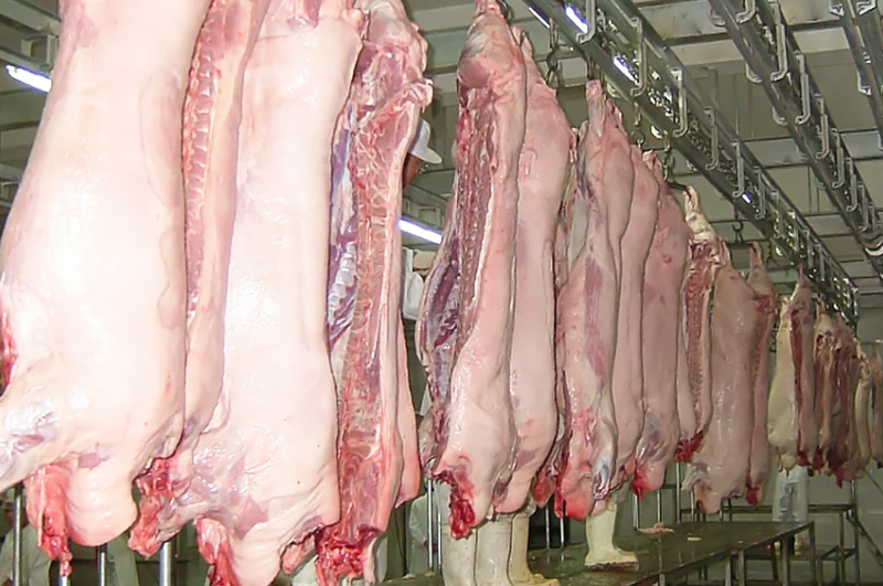 豬牛羊屠宰流水線